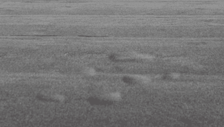 Why Are There Bubbles In My Flat Roof?